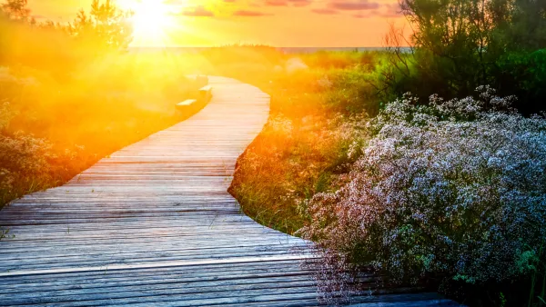 Pathway illuminated by sunset